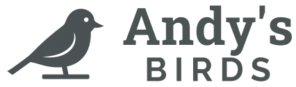 Andy's Birds